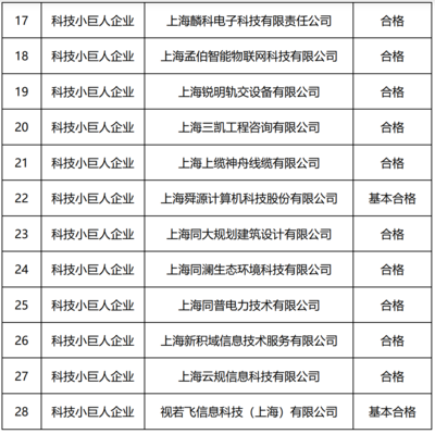 关于公布2022年度杨浦区小巨人工程项目验收结果的通知